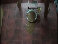[ Shit DVD ] Scat bitch shits on the floor